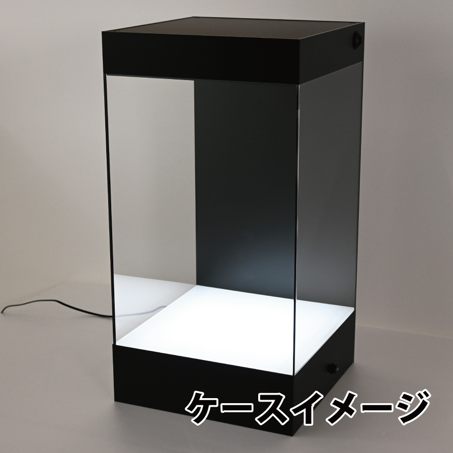 照明あり(床照明)