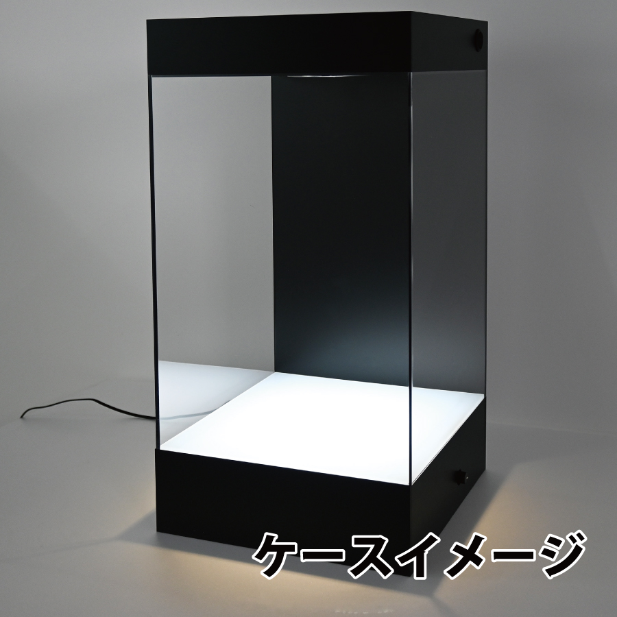 照明あり(床照明+天井照明)